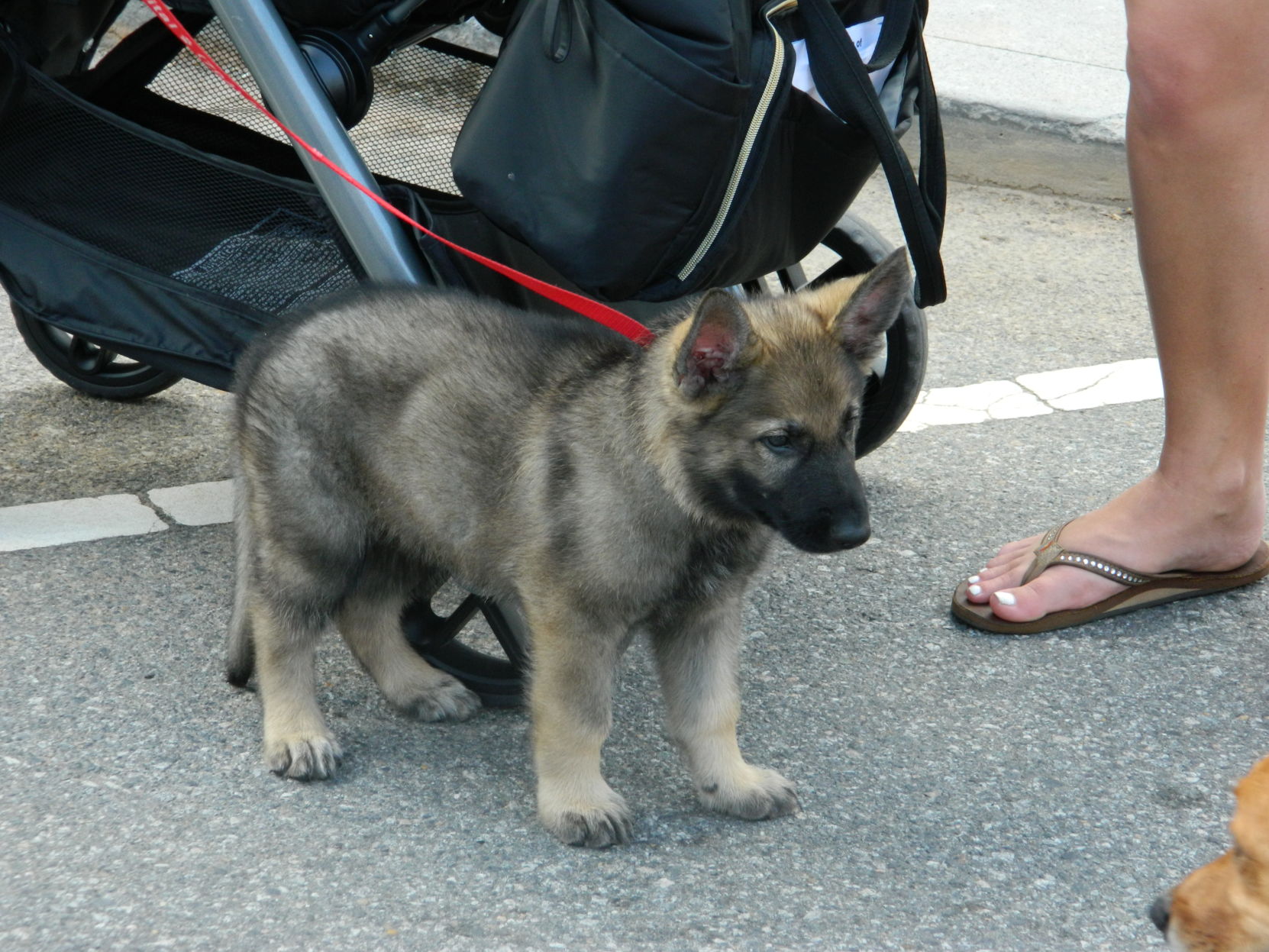 National Night Out Mooresville (113).JPG